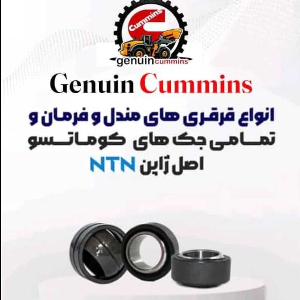 1765884003764.webp